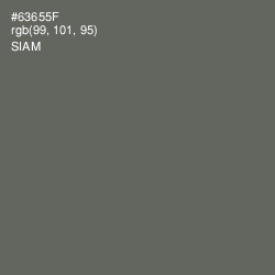 #63655F - Siam Color Image