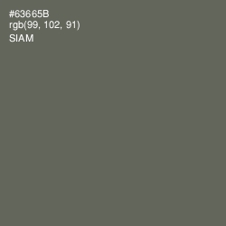 #63665B - Siam Color Image