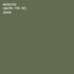#636C50 - Siam Color Image