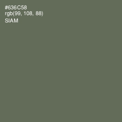 #636C58 - Siam Color Image