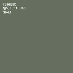 #636E5C - Siam Color Image