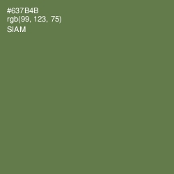 #637B4B - Siam Color Image