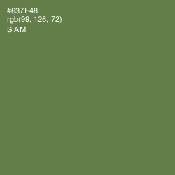 #637E48 - Siam Color Image