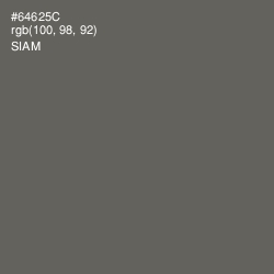 #64625C - Siam Color Image