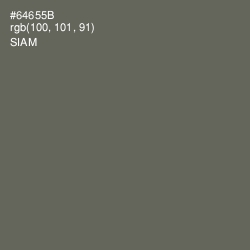#64655B - Siam Color Image