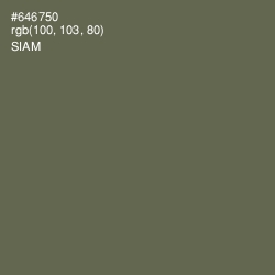 #646750 - Siam Color Image