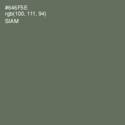 #646F5E - Siam Color Image