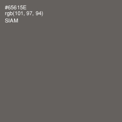 #65615E - Siam Color Image