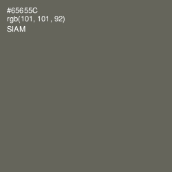 #65655C - Siam Color Image
