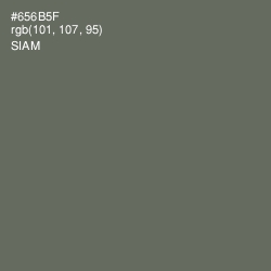 #656B5F - Siam Color Image