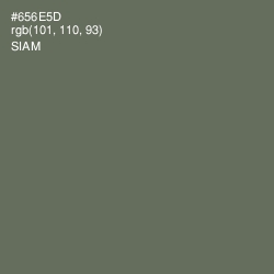 #656E5D - Siam Color Image