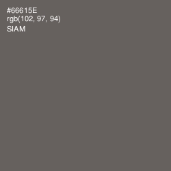 #66615E - Siam Color Image