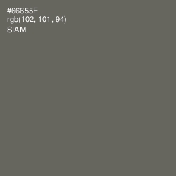 #66655E - Siam Color Image