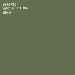 #666F50 - Siam Color Image