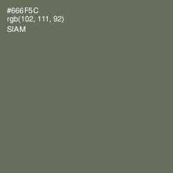 #666F5C - Siam Color Image