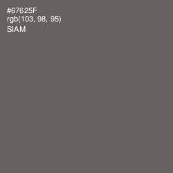 #67625F - Siam Color Image