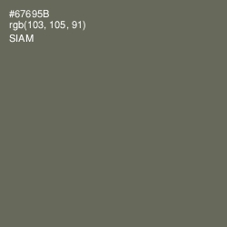 #67695B - Siam Color Image