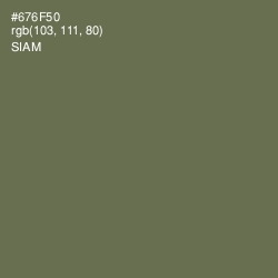 #676F50 - Siam Color Image