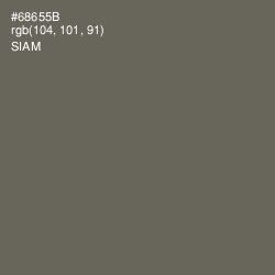 #68655B - Siam Color Image