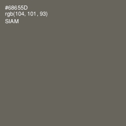 #68655D - Siam Color Image