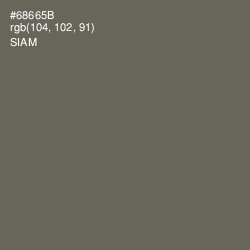#68665B - Siam Color Image
