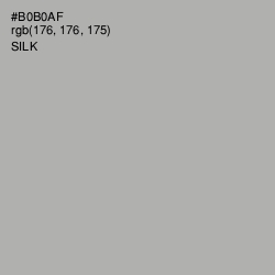 #B0B0AF - Silk Color Image