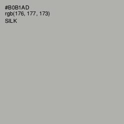 #B0B1AD - Silk Color Image