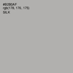 #B2B0AF - Silk Color Image