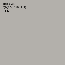 #B3B0AB - Silk Color Image