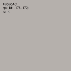 #B5B0AC - Silk Color Image