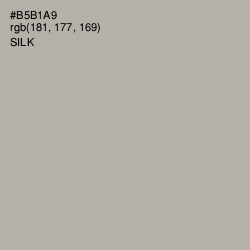 #B5B1A9 - Silk Color Image