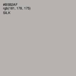 #B5B2AF - Silk Color Image