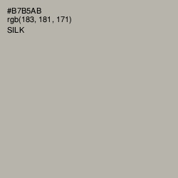 #B7B5AB - Silk Color Image