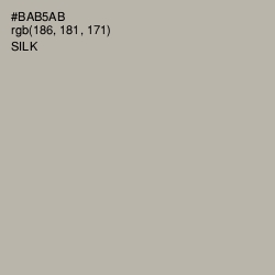 #BAB5AB - Silk Color Image