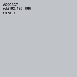 #C0C3C7 - Silver Color Image