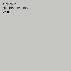 #C3C6C1 - Silver Color Image