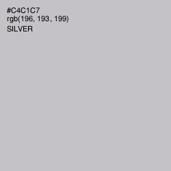#C4C1C7 - Silver Color Image