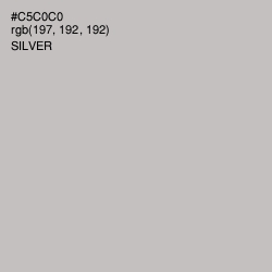 #C5C0C0 - Silver Color Image
