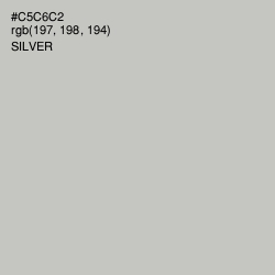#C5C6C2 - Silver Color Image