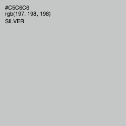 #C5C6C6 - Silver Color Image