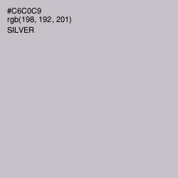 #C6C0C9 - Silver Color Image