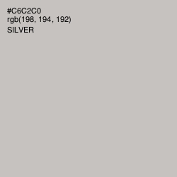 #C6C2C0 - Silver Color Image