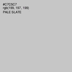 #C7C5C7 - Silver Color Image