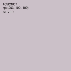 #CBC0C7 - Silver Color Image