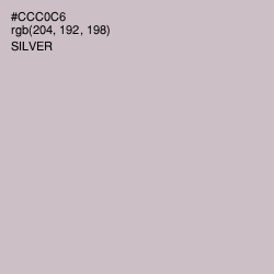 #CCC0C6 - Silver Color Image