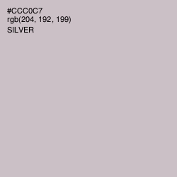 #CCC0C7 - Silver Color Image