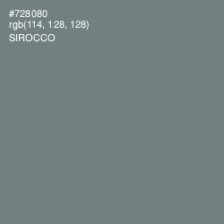 #728080 - Sirocco Color Image