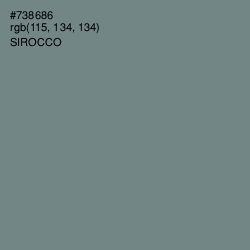#738686 - Sirocco Color Image