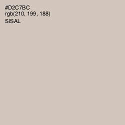 #D2C7BC - Sisal Color Image