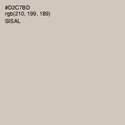 #D2C7BD - Sisal Color Image